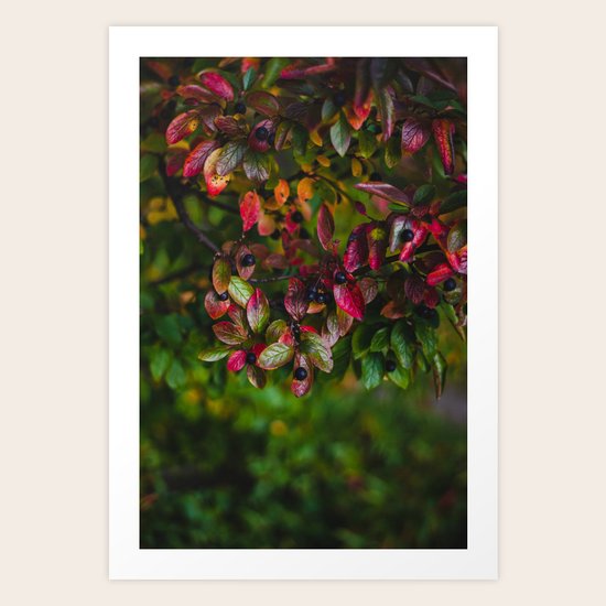 Wild Berries Art Print