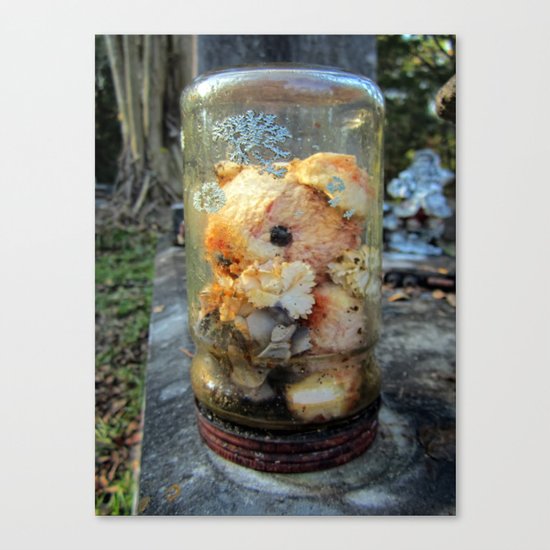 TEDDY IN A JAR Canvas Print