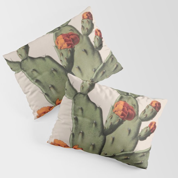 Botanical Cactus Pillow Sham