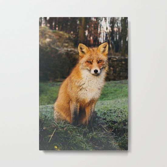 Red Scandinavian Fox Metal Print