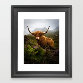Funny Scottish Highlands Cow in a moody wheater Framed Art Print
