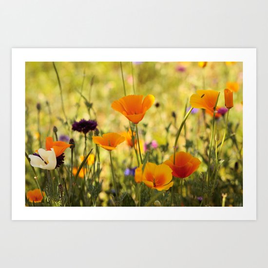 Summer Garden - JUSTART © Art Print