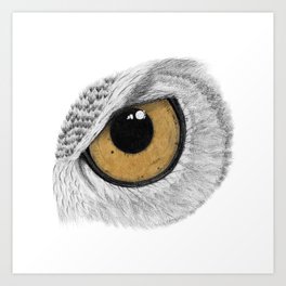 Gold Owl Eye Art Print