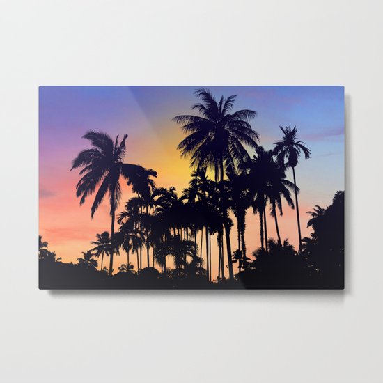 palm tree Metal Print