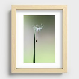 ready to fly Recessed Framed Print