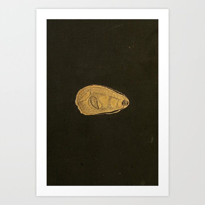 Gilded oyster from "The Oyster: A Popular Summary of a Scientific Study," 1891 (benefitting the Billion Oyster Project) Art Print