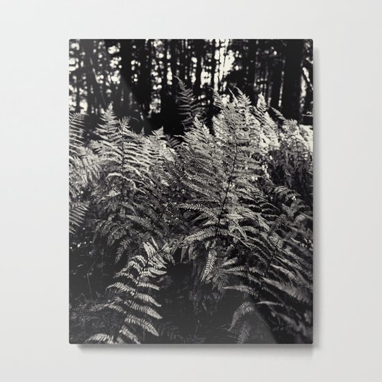 ferns in black and white Metal Print