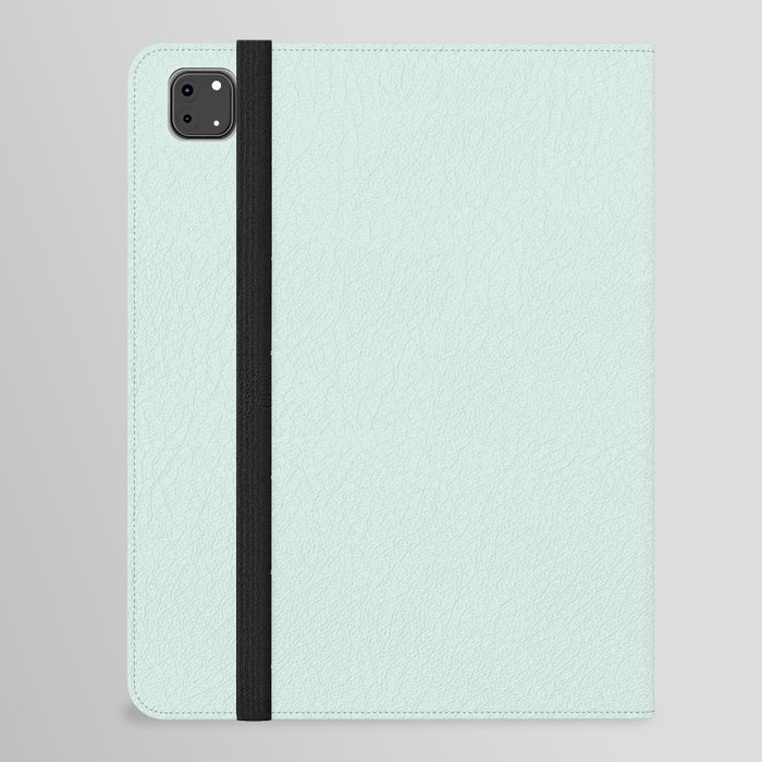 Pastel Mint Solid Color iPad Folio Case