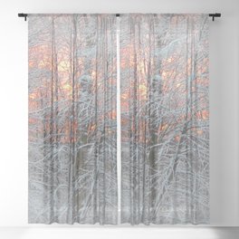Winter Morning Sheer Curtain