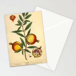 Pomegranate by Elizabeth Blackwell from "A Curious Herbal," 1737 (benefiting The Nature Conservancy) Stationery Card