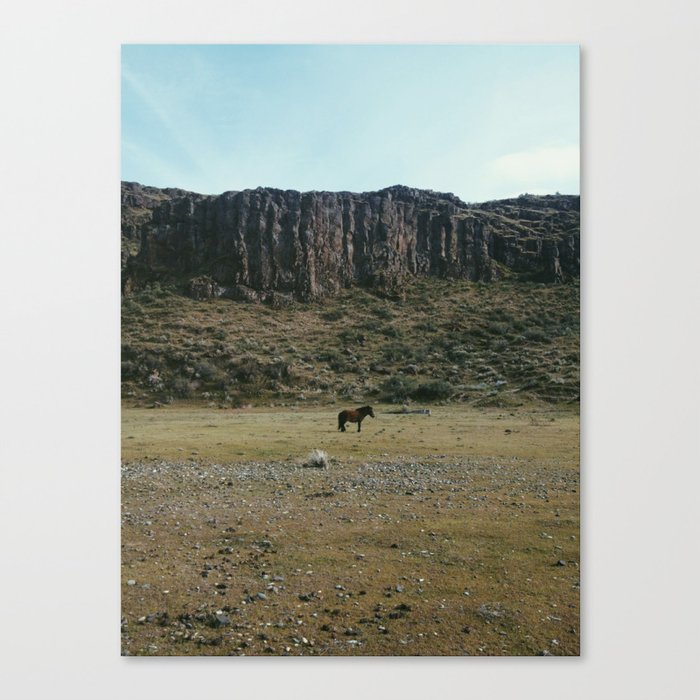 Rock Pasture Pony Canvas Print