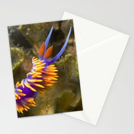 Spanish Shawl Nudibranch Stationery Cards