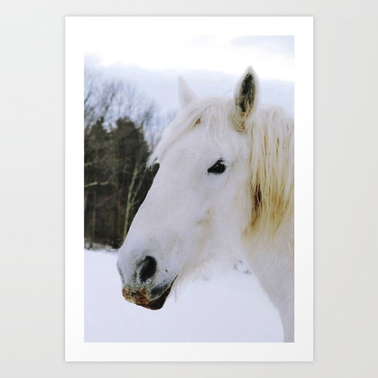 Lovely White Horse Art Print