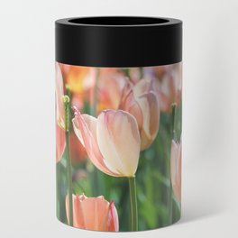 Peach Tulips  Can Cooler
