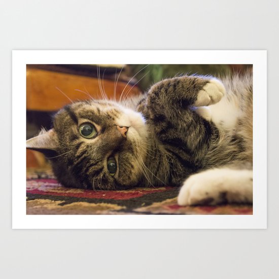 Catnip Cat Art Print