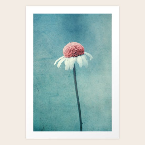 moonlight Art Print