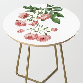 Vintage Pink Rambler Roses Botanical Illustration on Pure White Side Table
