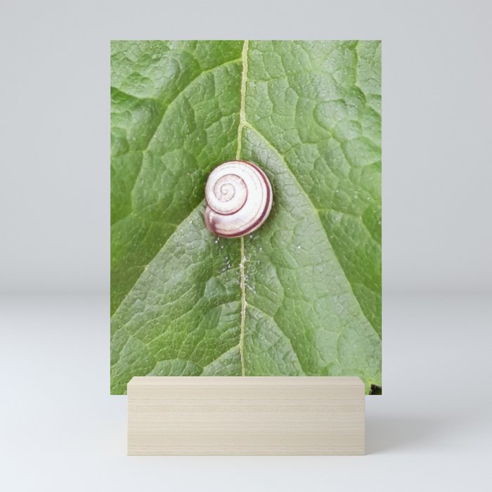 Snail and green leaf symbiosis Mini Art Print