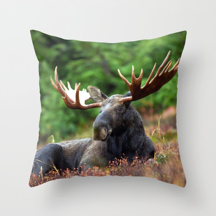 Moose Throw Pillow