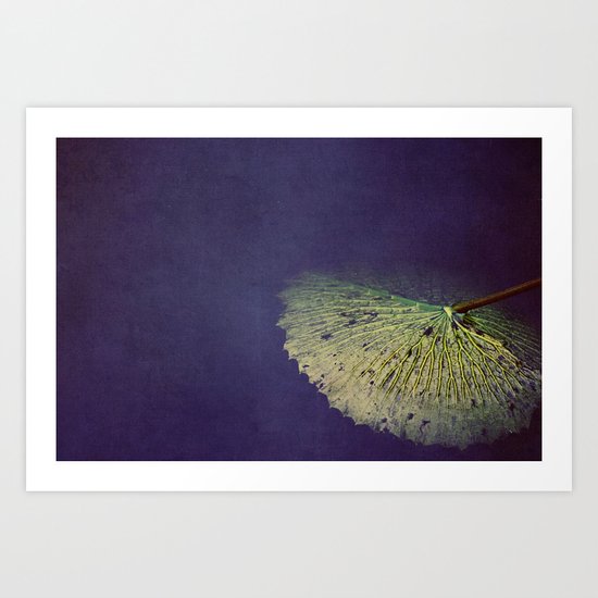 Unusual Beauty Art Print