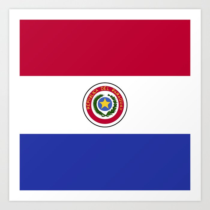 Paraguay flag emblem Art Print by textures | Society6