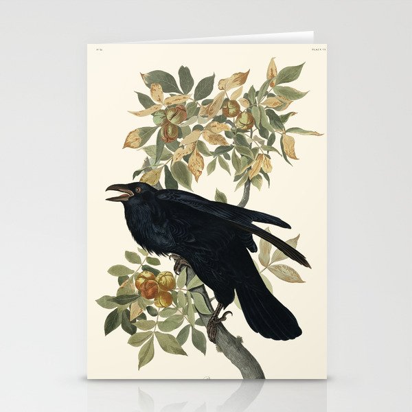 Audubon plate - Raven (Corvux corax) Stationery Cards