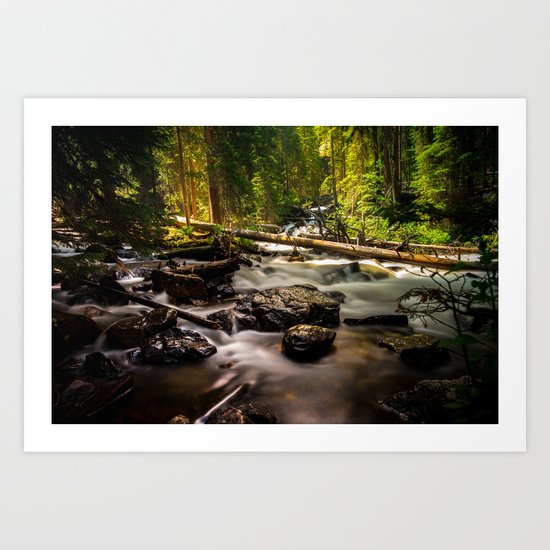 Nature's Creek Art Print