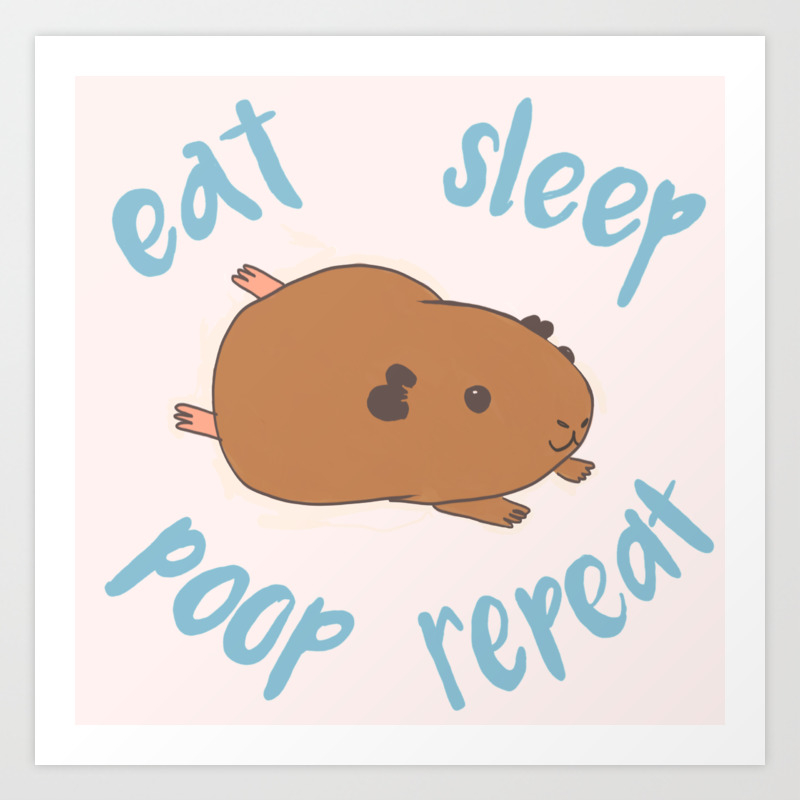 Guinea Pig Eat Sleep Poop Repeat Art Print By Gizmoandco Society6