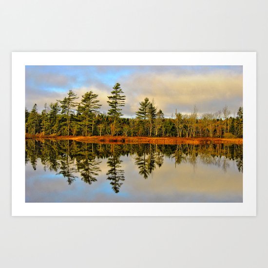 Reflections Art Print