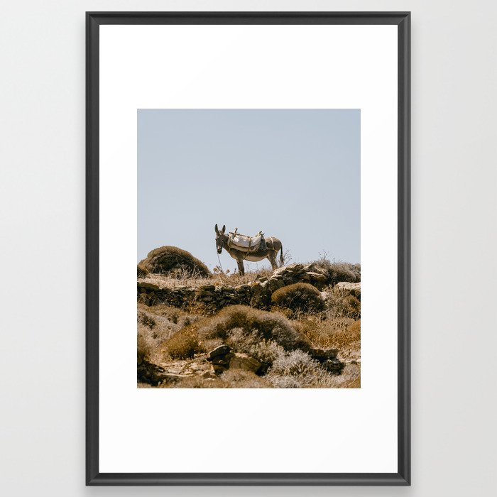 Greek Donkey Art Print Framed Art Print