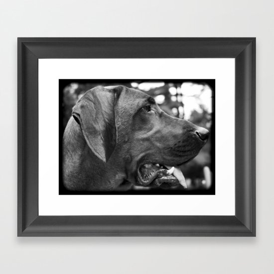 Redbone Framed Art Print