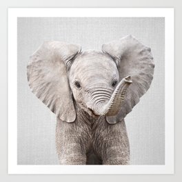 Baby Elephant - Colorful Art Print