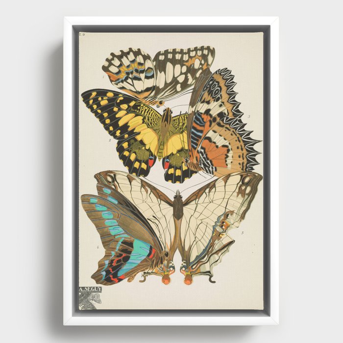 Framed Canvas