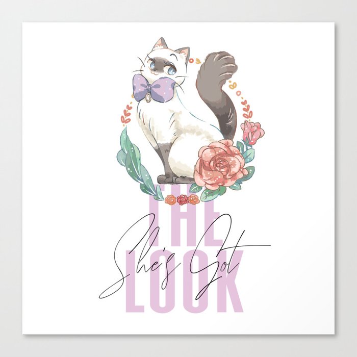 she's got the look Canvas Print