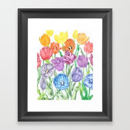 Rainbow Tulips Framed Art Print