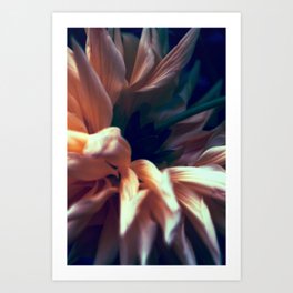 Chrysanthemum Flower Moody Tone Art Print