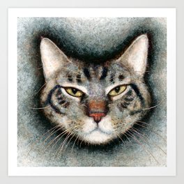 Cat #1 (Xavier) Art Print