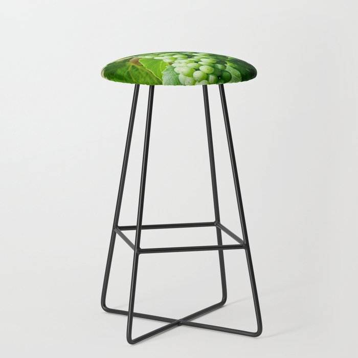 Riesling Grapevines from Alsace, France | Agricultural Photography Bar Stool