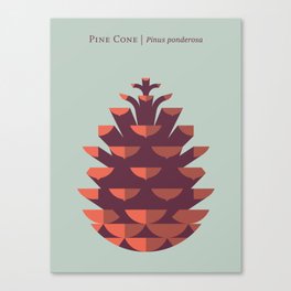Pine Cone Mint Canvas Print