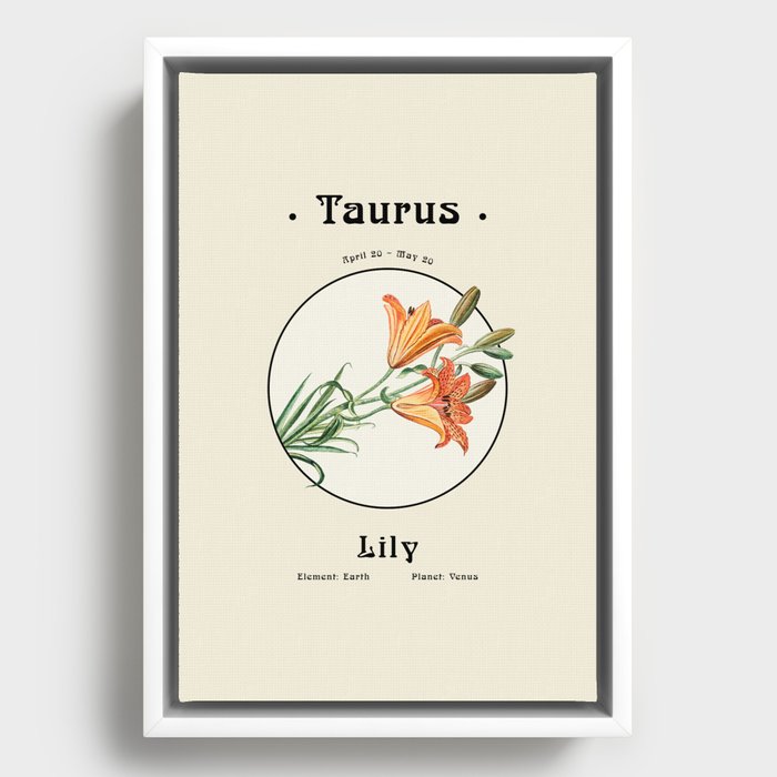 Taurus & Lily - Flowers of the Zodiac Framed Canvas