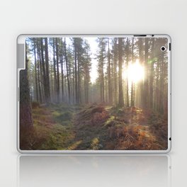 Winter Sun Amongst the Trees Laptop Skin