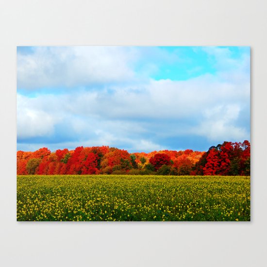 Light hits the Trees Beyond Canvas Print