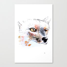 Cumpeo Fox Canvas Print