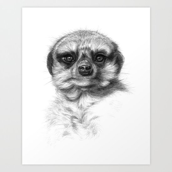 Meerkat Cub G2013-072 Art Print
