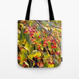 Bright red berries on a tree Tote Bag
