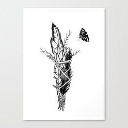 Sage Moth Canvas Print