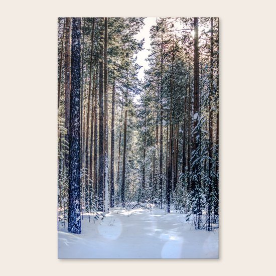 Sun forest Canvas Print