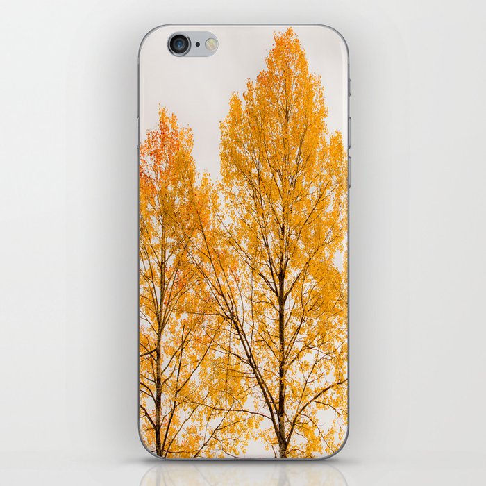 Aspen Trees #decor #society6 #buyart iPhone Skin