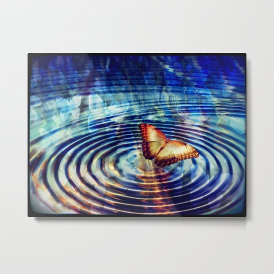 Butterfly Butterfly Metal Print