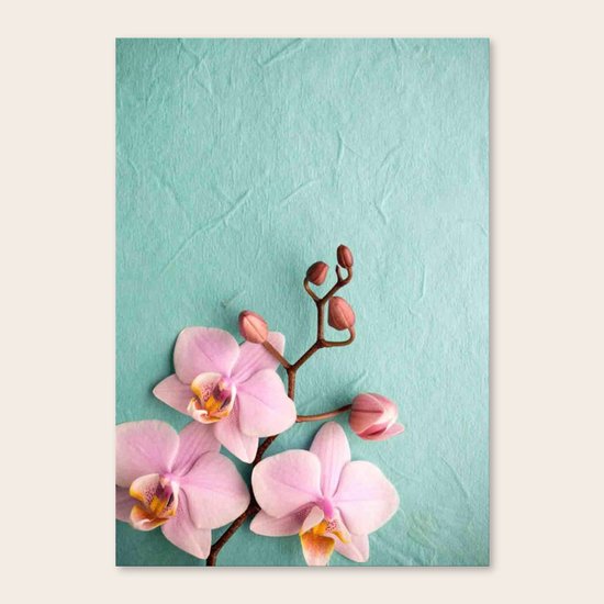 Orchids1 Canvas Print